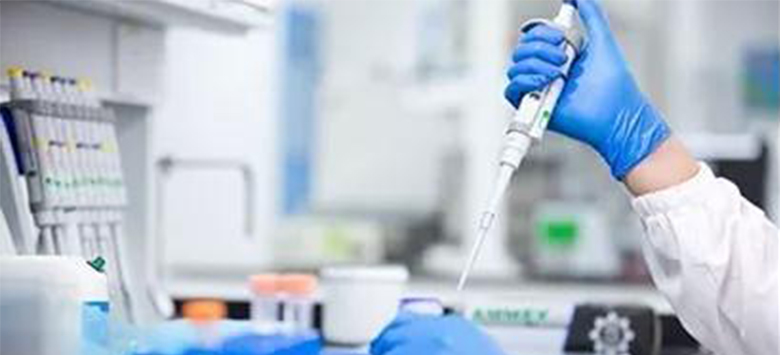 尊龙凯时 - 人生就是博!(中国区)官网