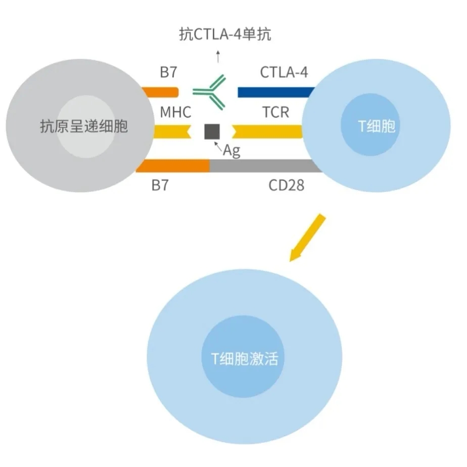 尊龙凯时 - 人生就是博!(中国区)官网