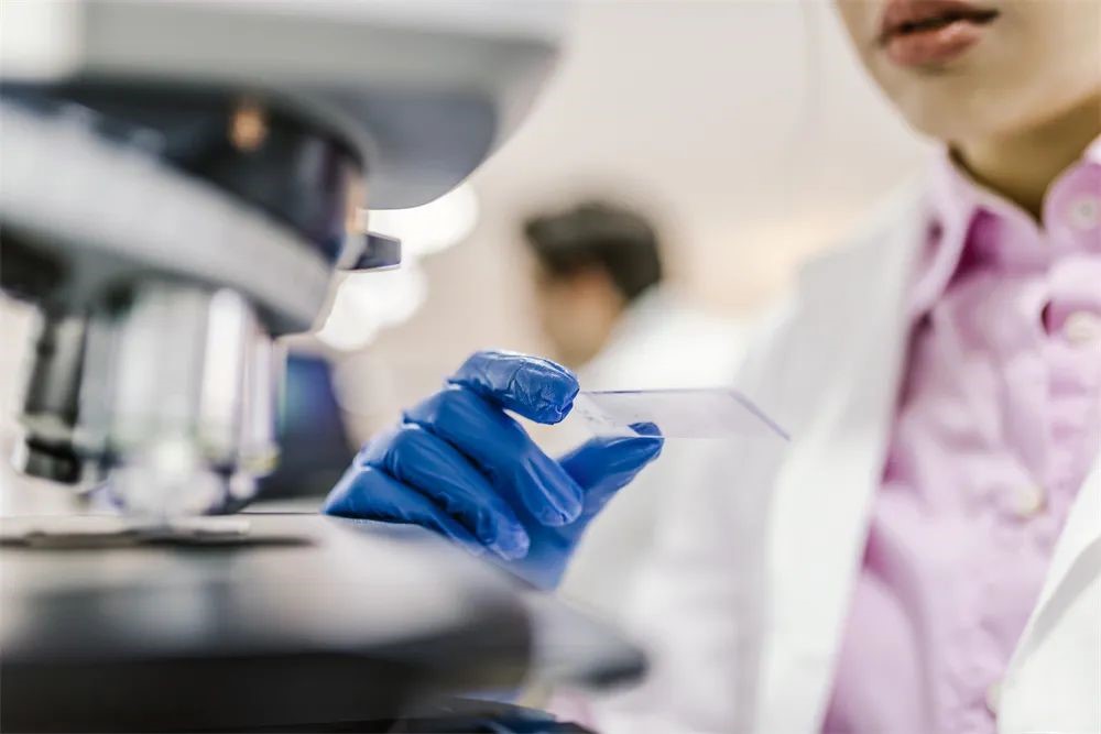 尊龙凯时 - 人生就是博!(中国区)官网