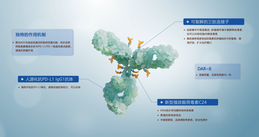 尊龙凯时 - 人生就是博!(中国区)官网