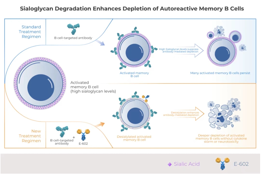 尊龙凯时 - 人生就是博!(中国区)官网