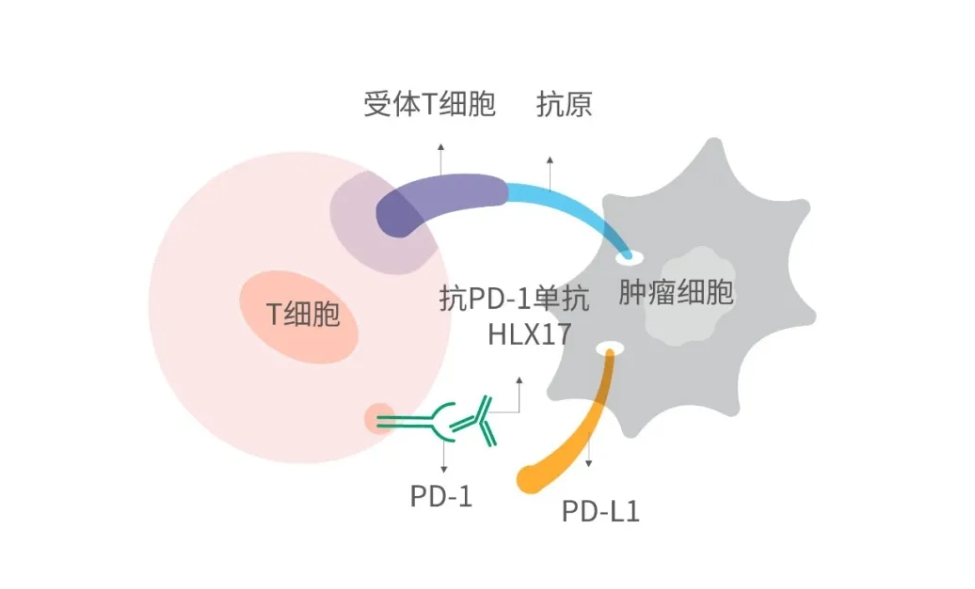 尊龙凯时 - 人生就是博!(中国区)官网